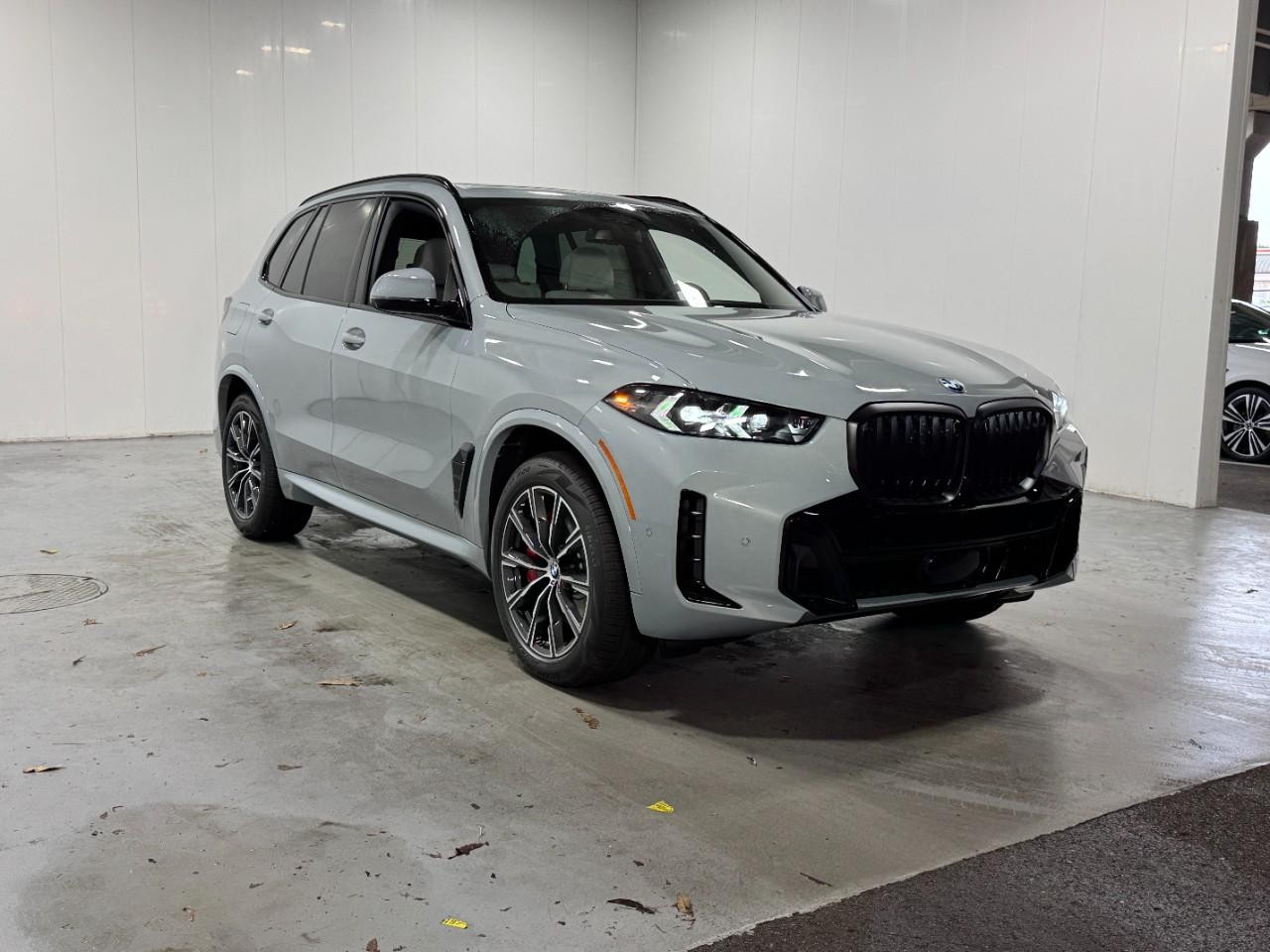 BMW X5 Vehicle Full-screen Gallery Image 6