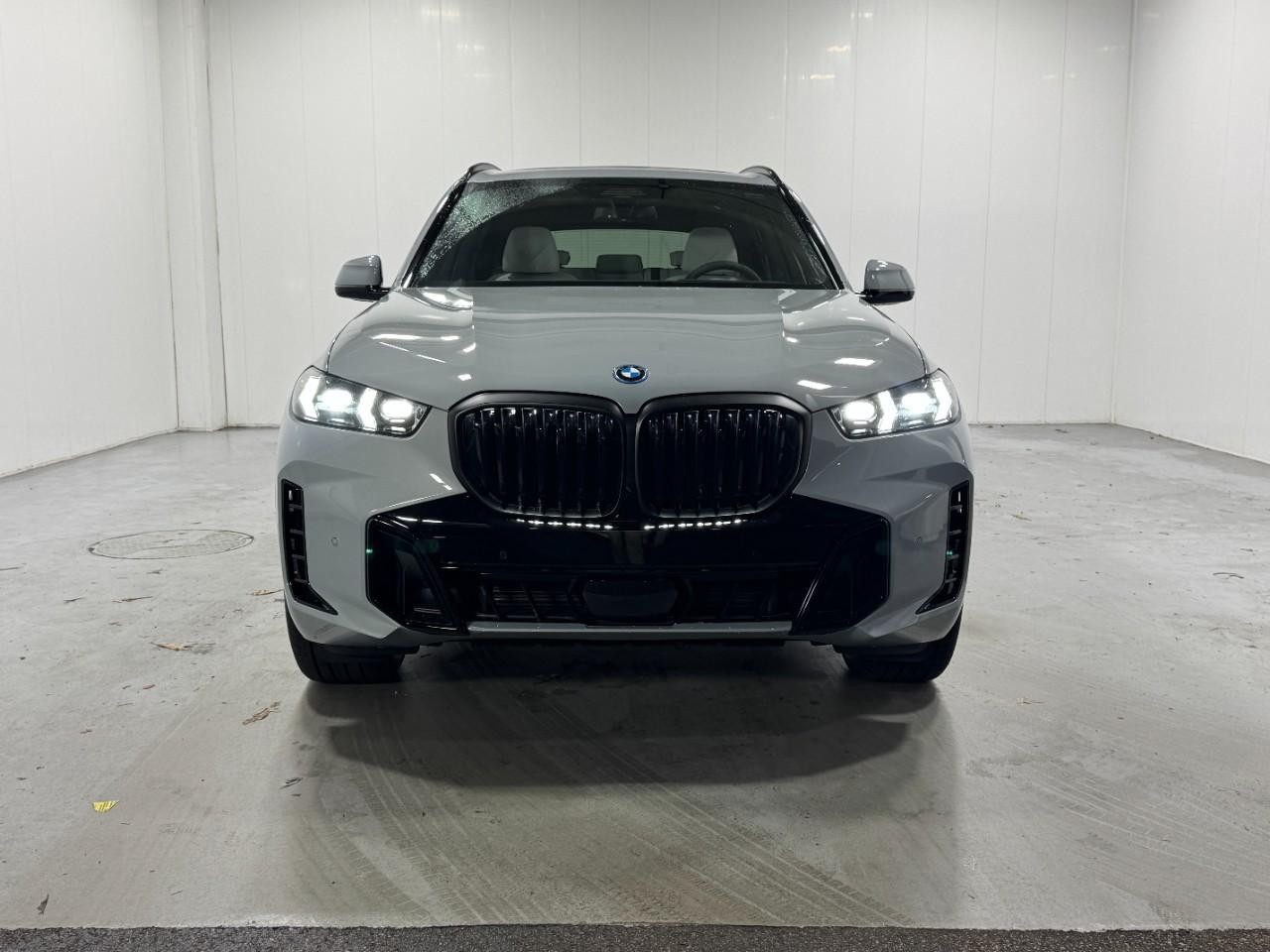 BMW X5 Vehicle Full-screen Gallery Image 7