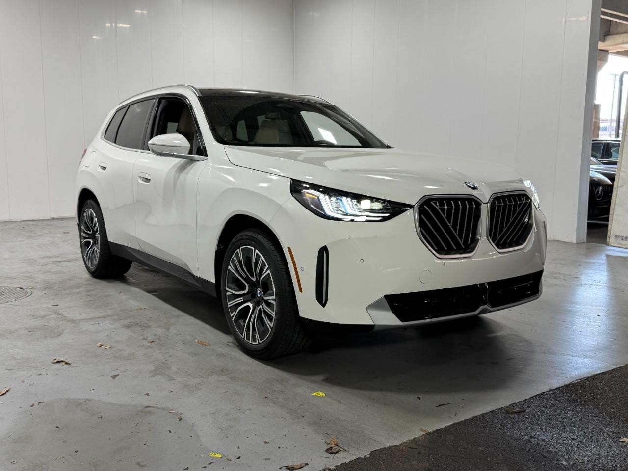 BMW X3 Vehicle Full-screen Gallery Image 6