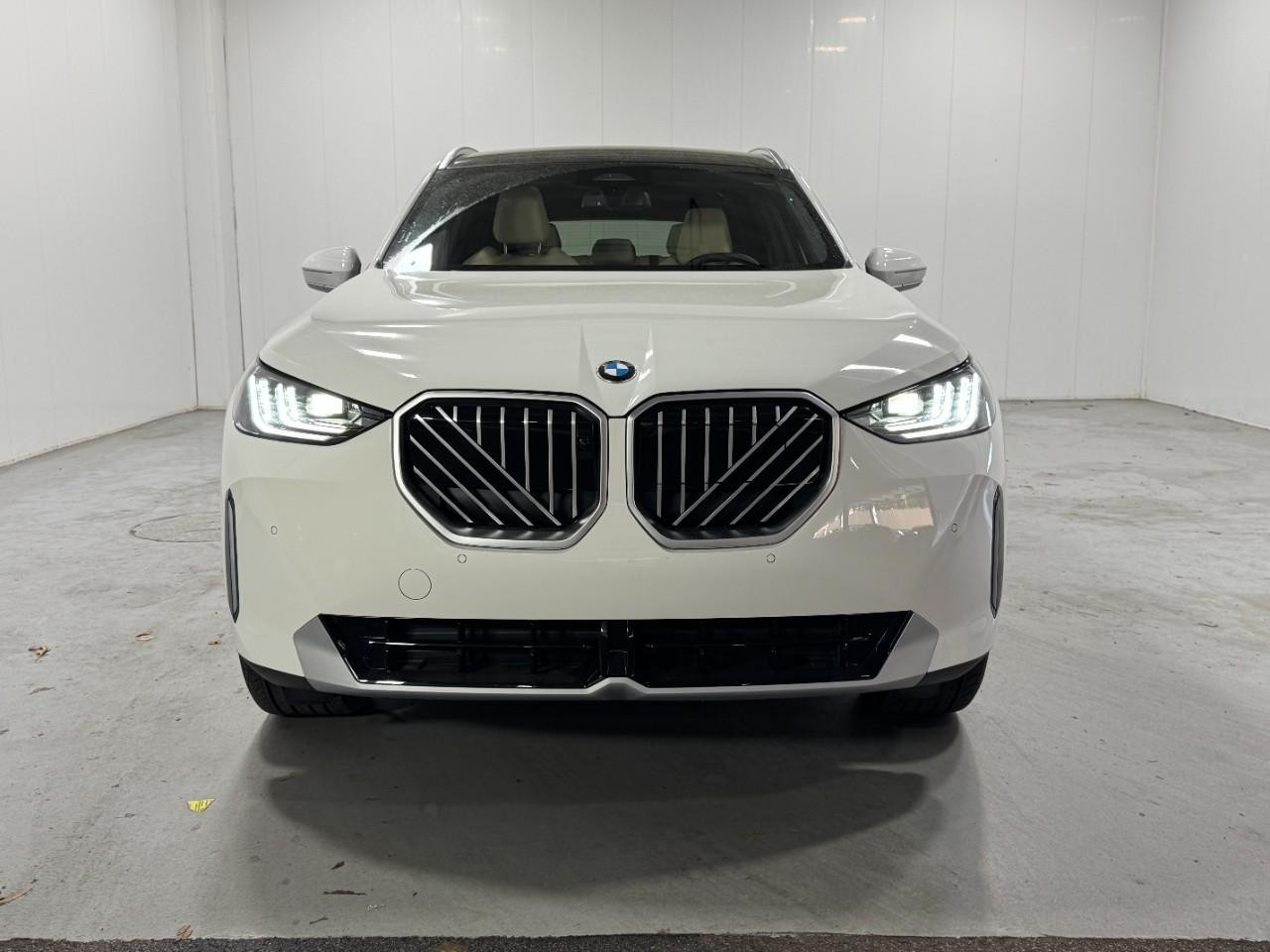 BMW X3 Vehicle Full-screen Gallery Image 7