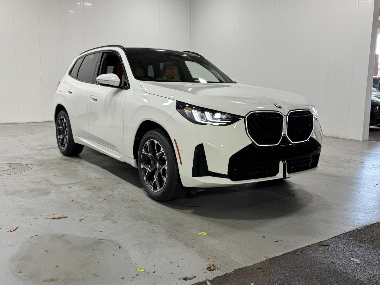 BMW X3 Vehicle Full-screen Gallery Image 6