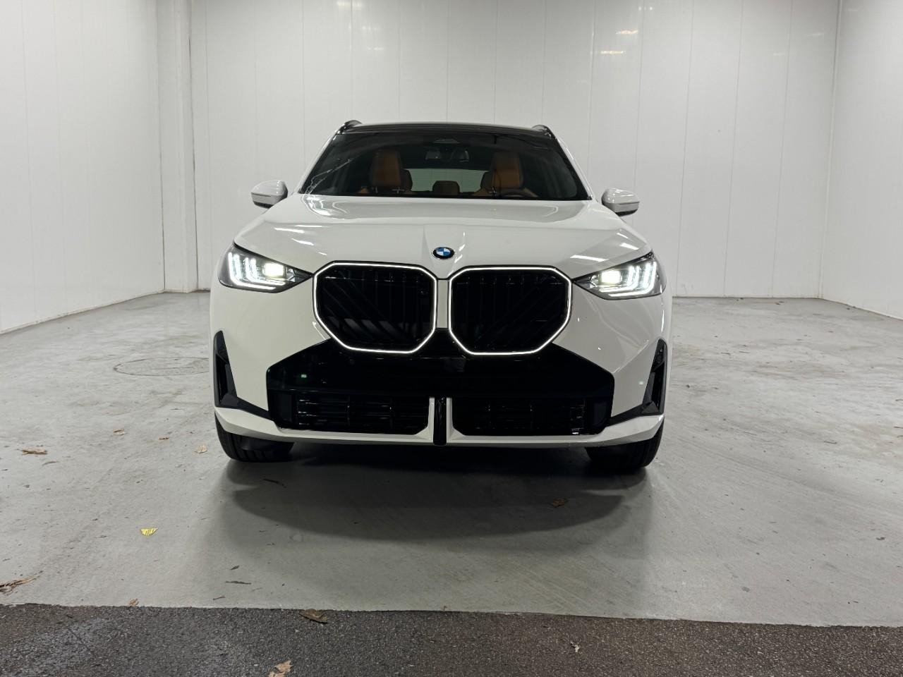 BMW X3 Vehicle Full-screen Gallery Image 7