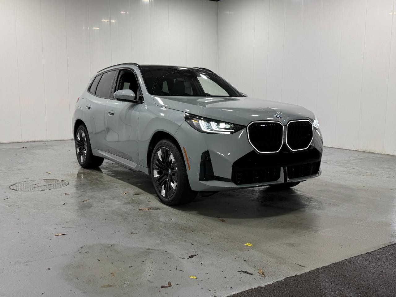 BMW X3 Vehicle Full-screen Gallery Image 6