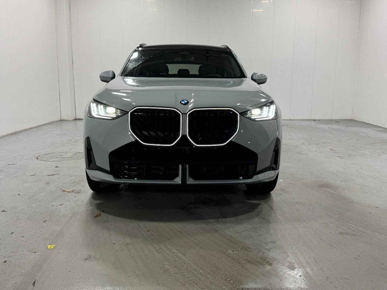 BMW X3 Vehicle Full-screen Gallery Image 7