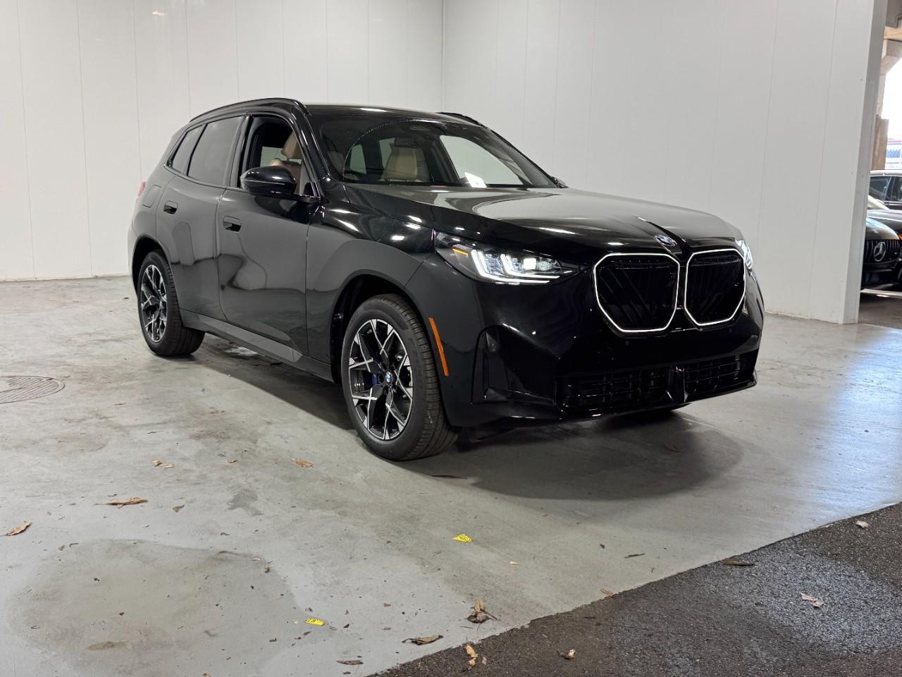 BMW X3 Vehicle Full-screen Gallery Image 6