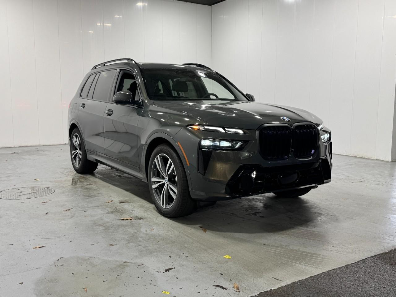 BMW X7 Vehicle Full-screen Gallery Image 6