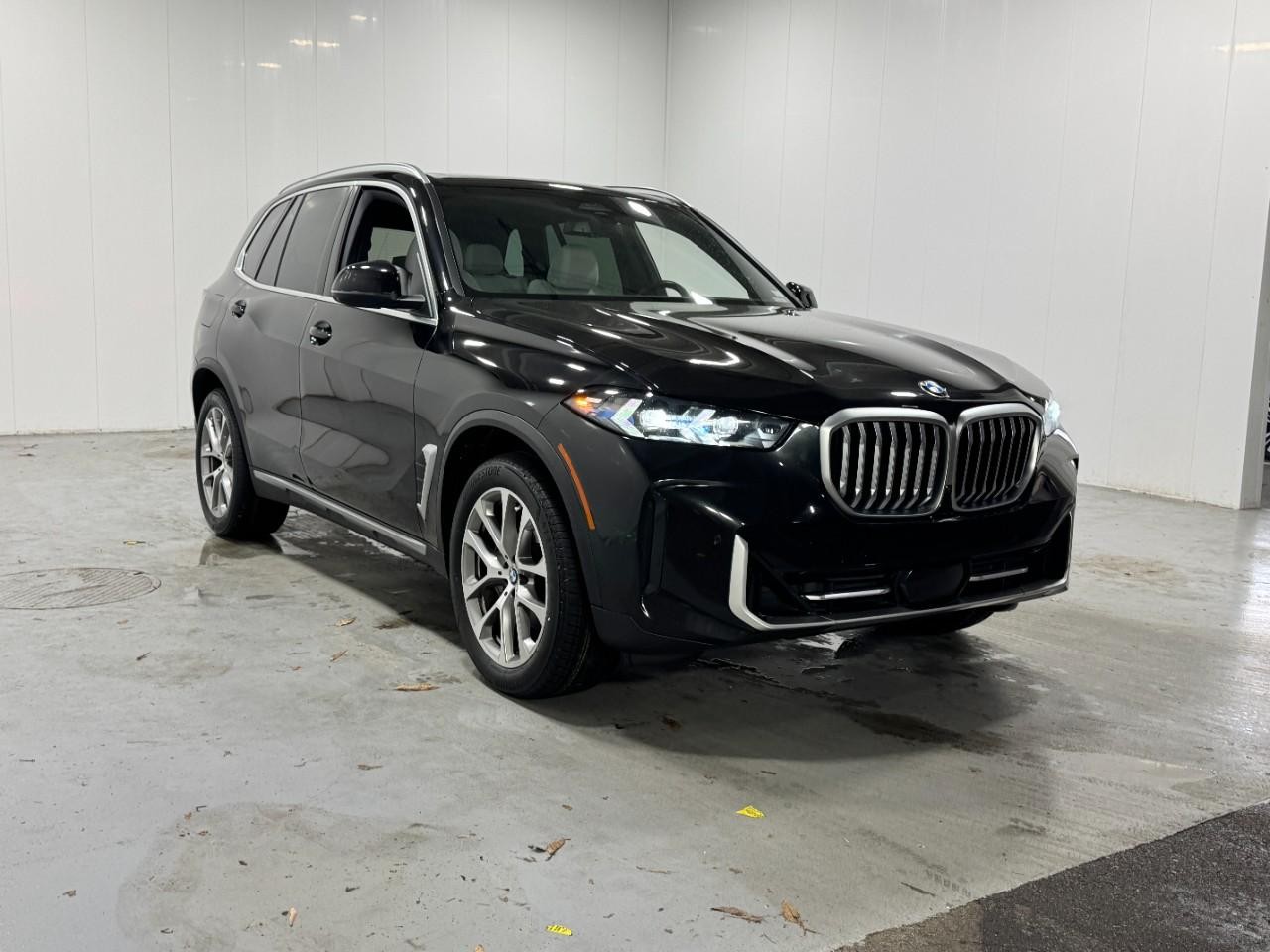BMW X5 Vehicle Full-screen Gallery Image 6