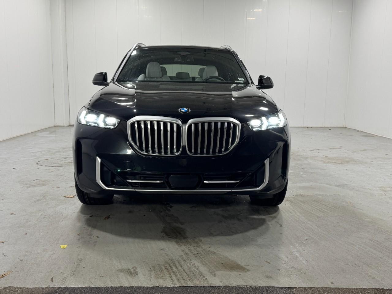BMW X5 Vehicle Full-screen Gallery Image 7