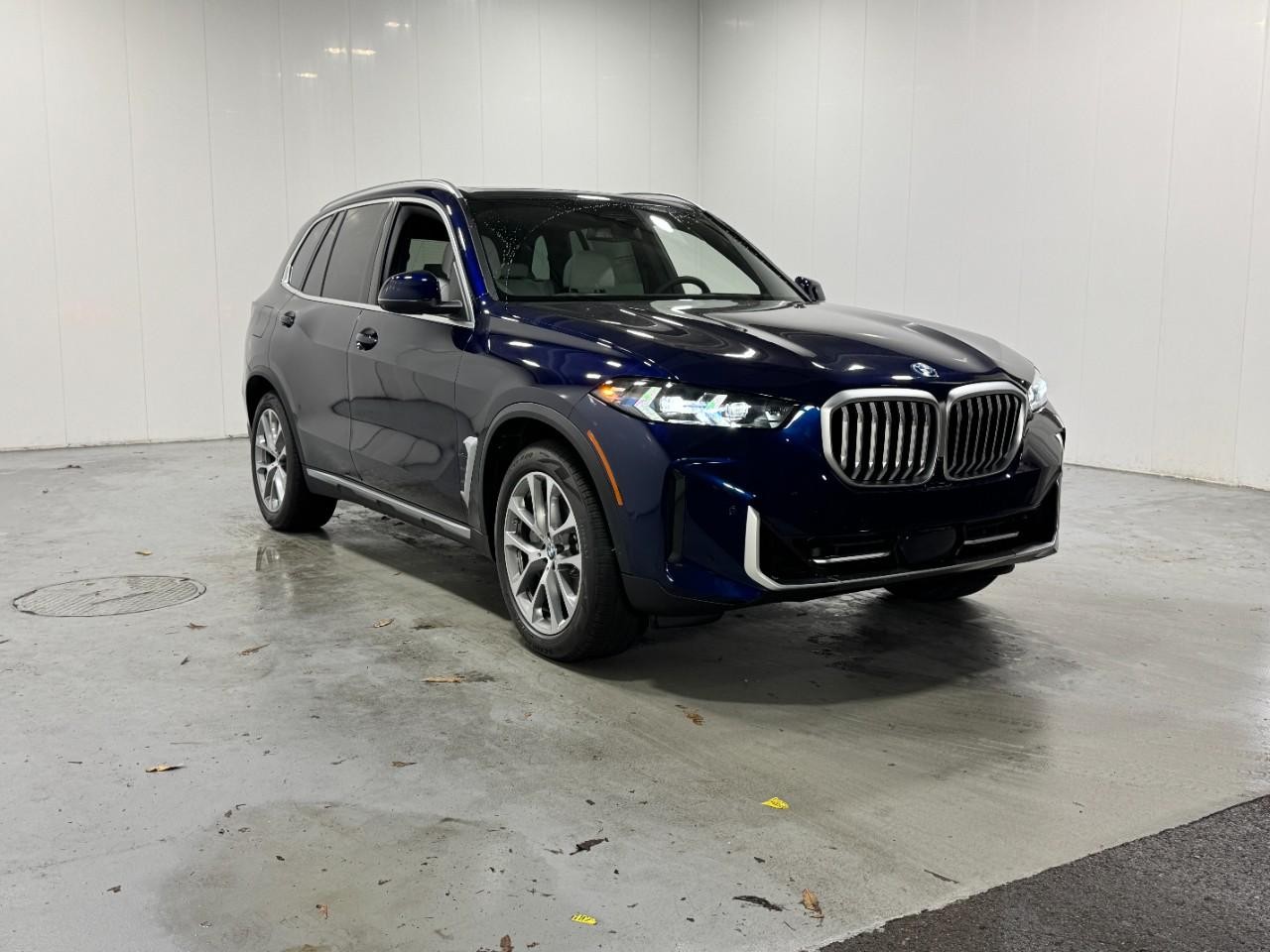 BMW X5 Vehicle Full-screen Gallery Image 6