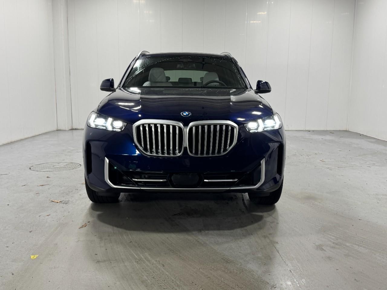 BMW X5 Vehicle Full-screen Gallery Image 7