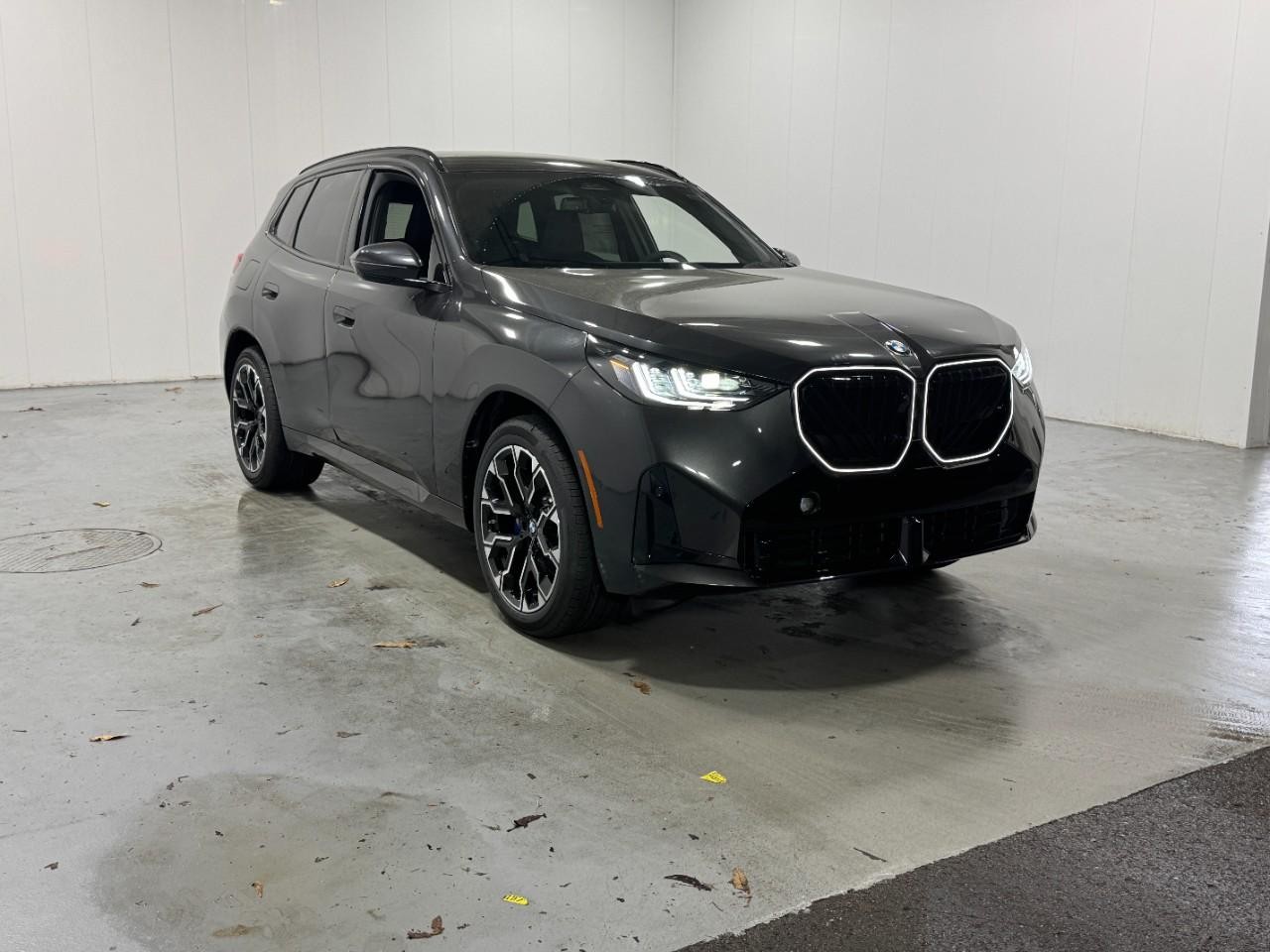 BMW X3 Vehicle Full-screen Gallery Image 6
