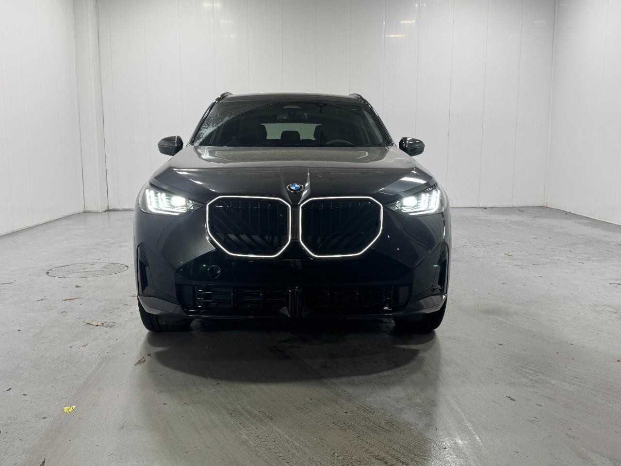 BMW X3 Vehicle Full-screen Gallery Image 7