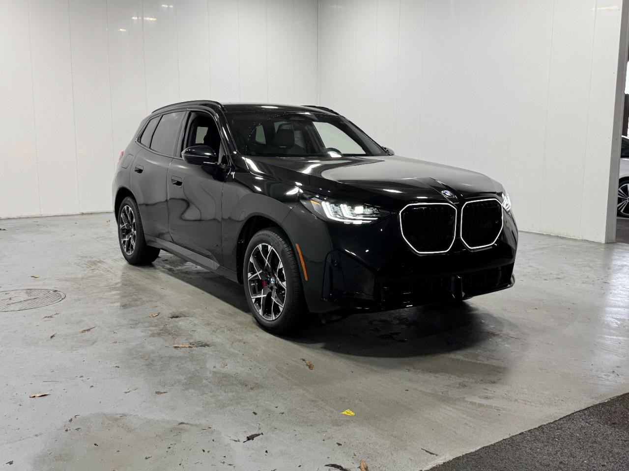 BMW X3 Vehicle Full-screen Gallery Image 6