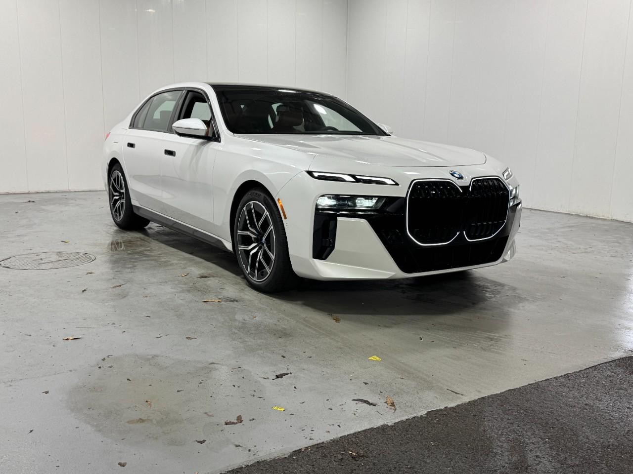 BMW 7 Series Vehicle Full-screen Gallery Image 6