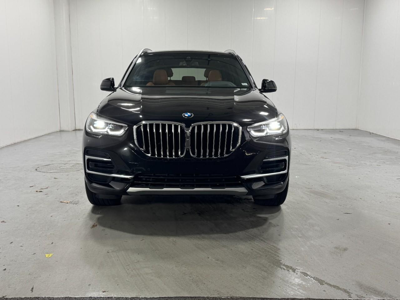 BMW X5 Vehicle Full-screen Gallery Image 7