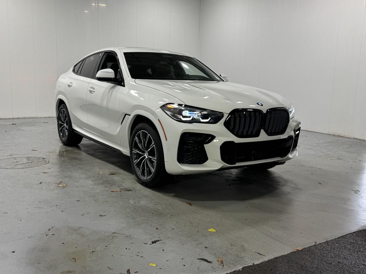 BMW X6 Vehicle Full-screen Gallery Image 6