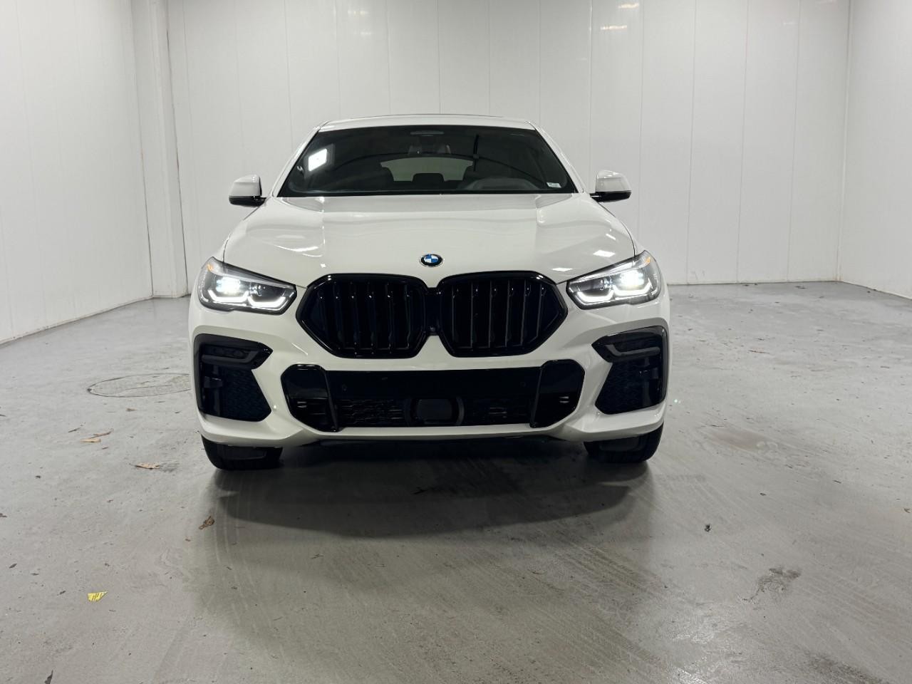 BMW X6 Vehicle Full-screen Gallery Image 7