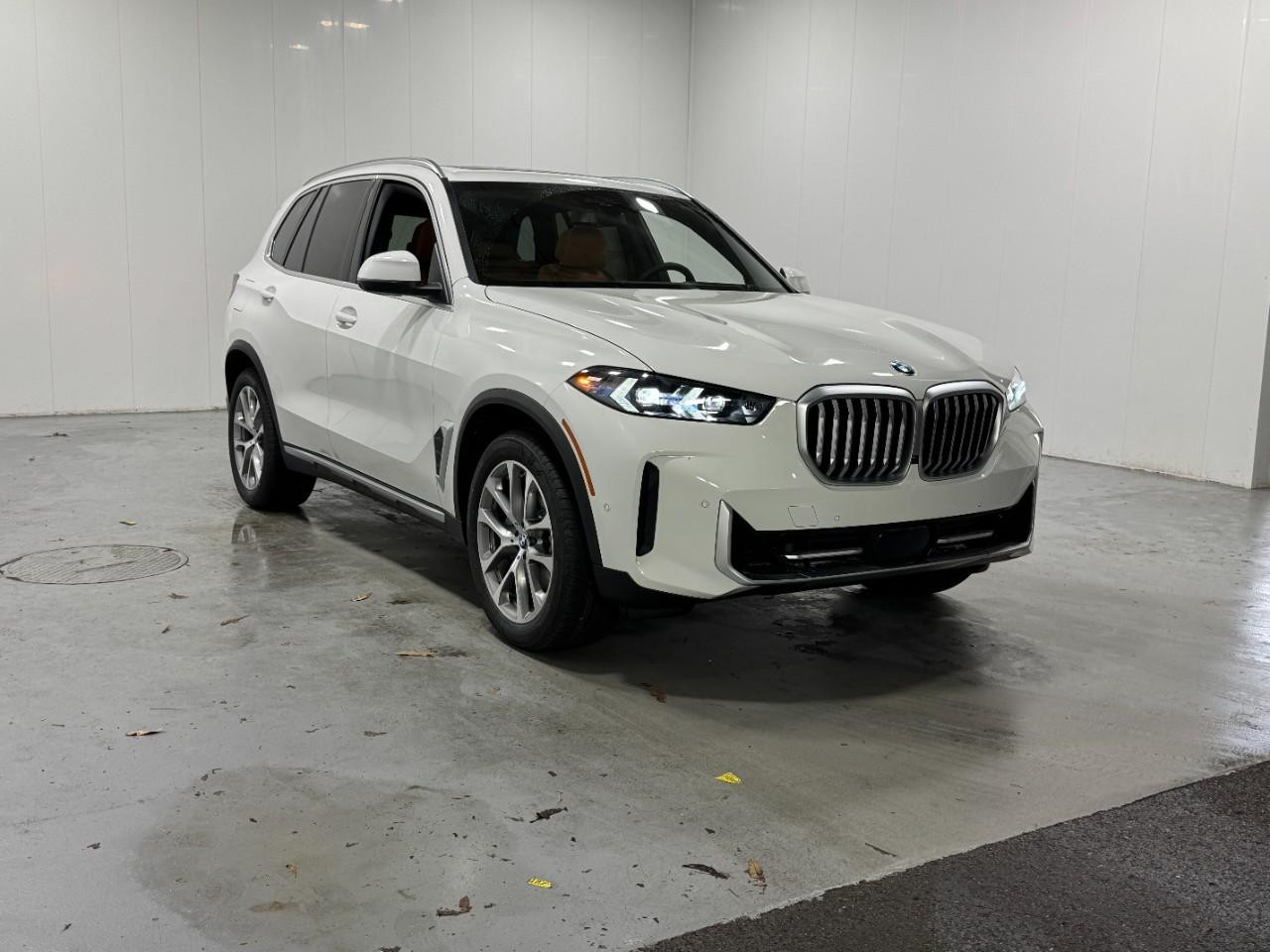BMW X5 Vehicle Full-screen Gallery Image 6
