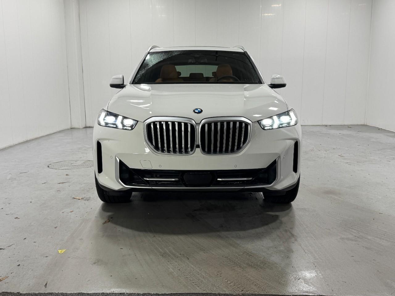 BMW X5 Vehicle Full-screen Gallery Image 7