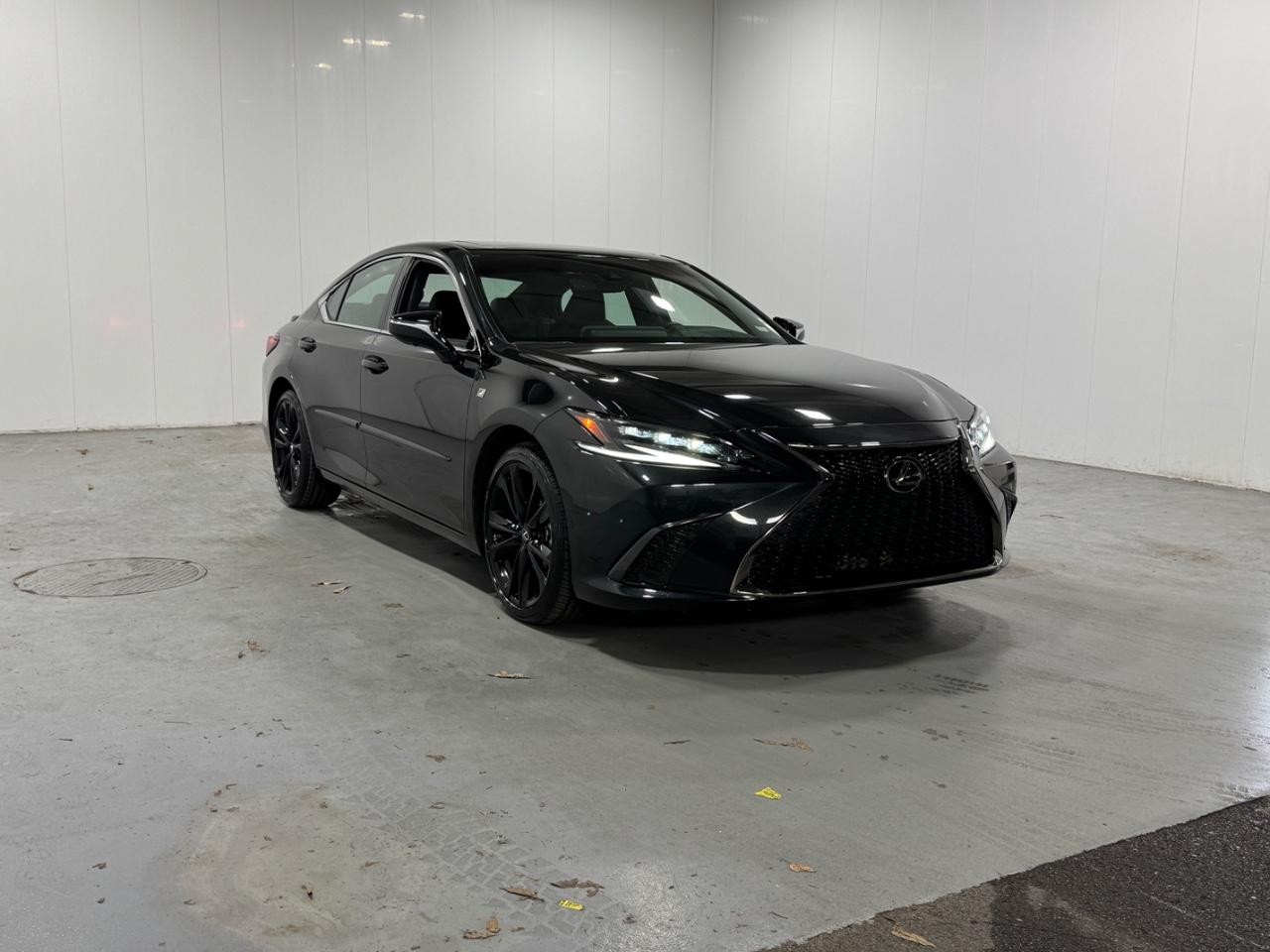 Lexus ES Vehicle Full-screen Gallery Image 6