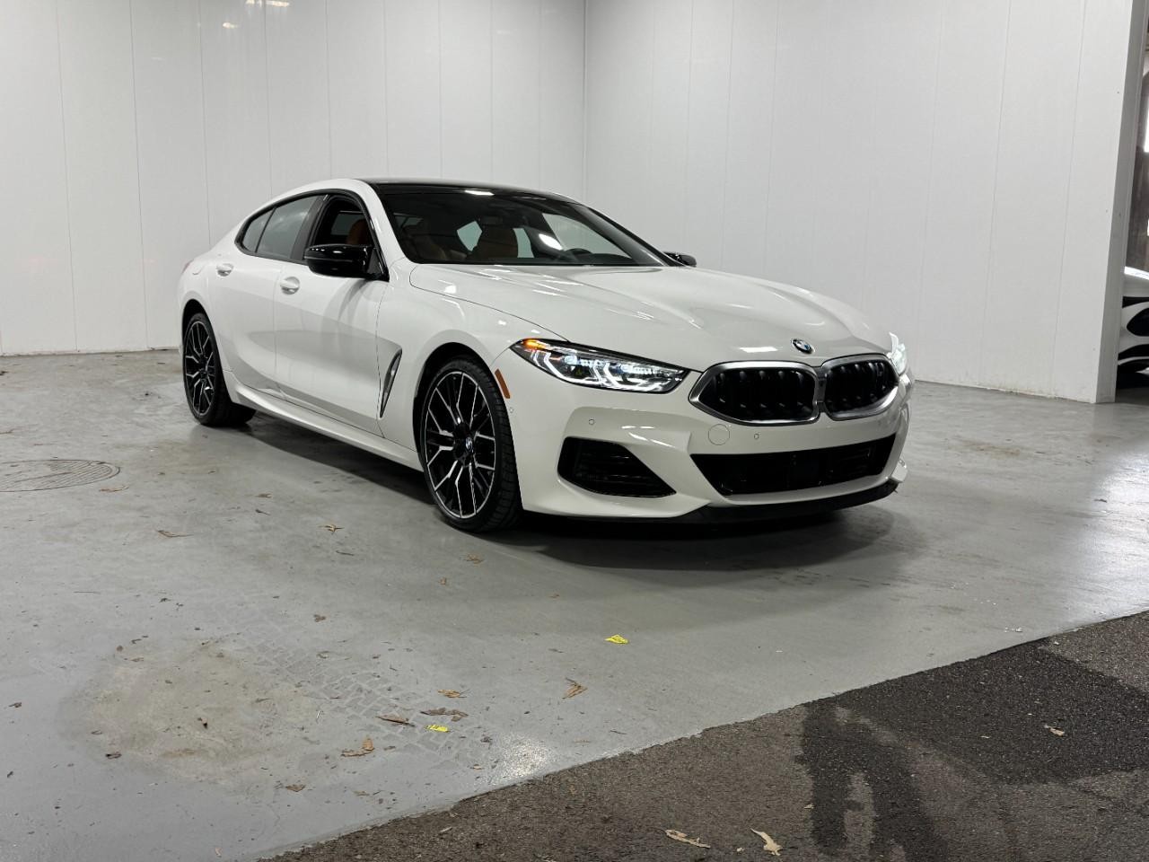 BMW 8 Series Vehicle Full-screen Gallery Image 6