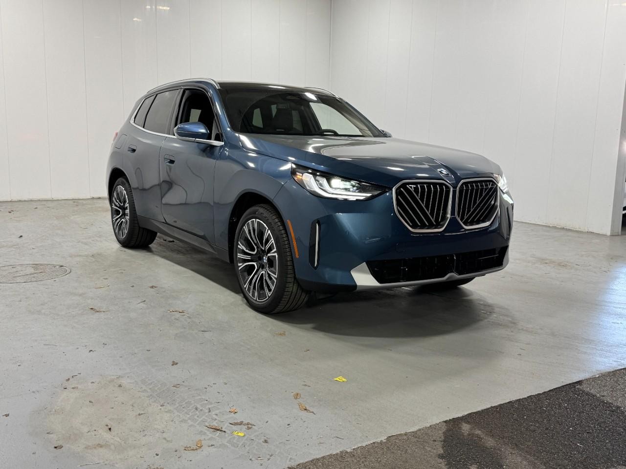 BMW X3 Vehicle Full-screen Gallery Image 6