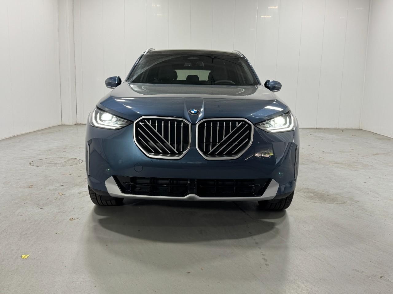 BMW X3 Vehicle Full-screen Gallery Image 7
