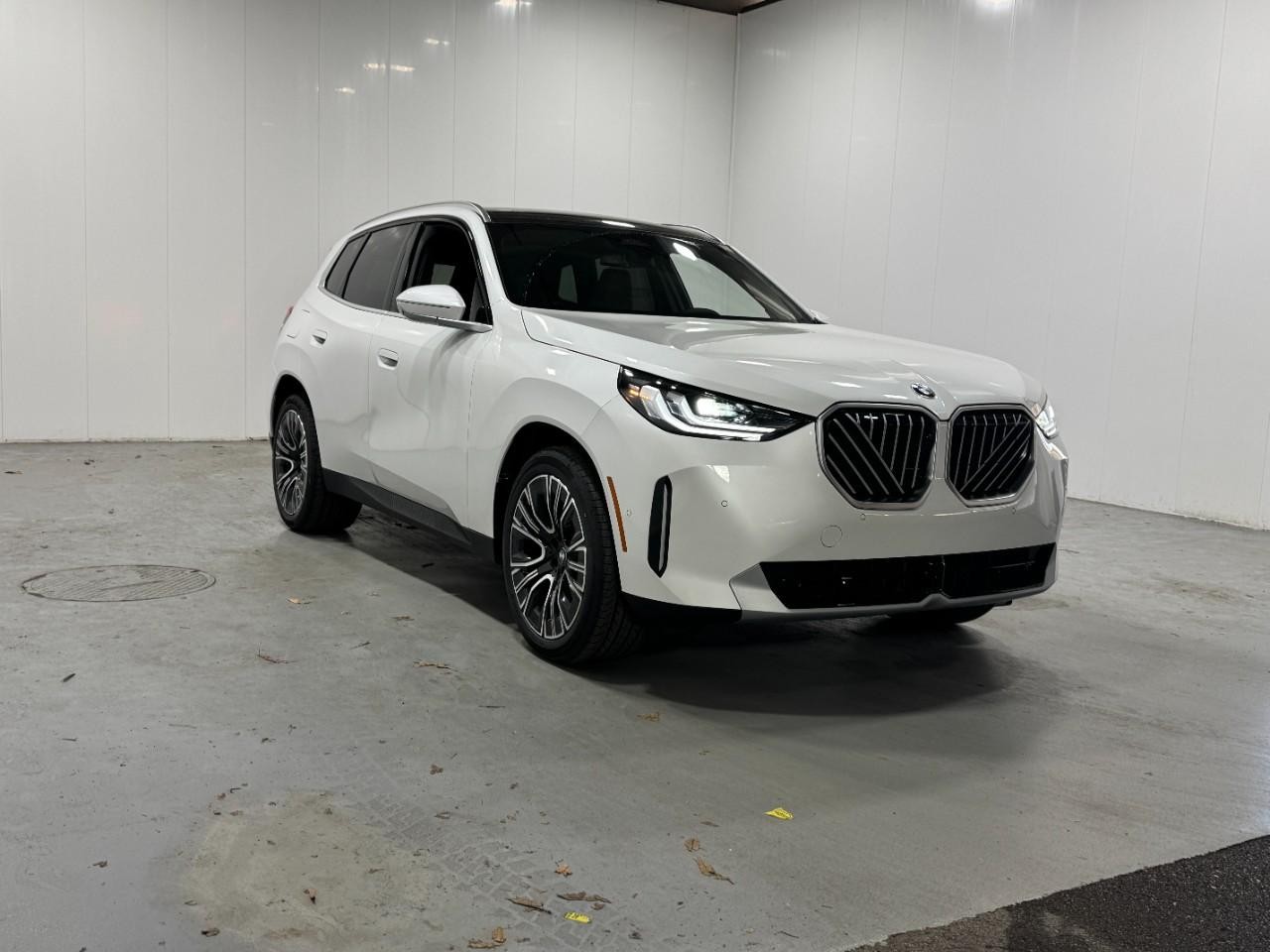 BMW X3 Vehicle Full-screen Gallery Image 6