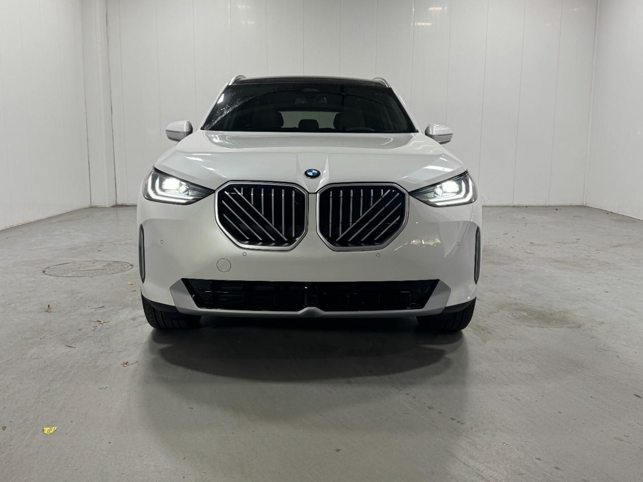 BMW X3 Vehicle Full-screen Gallery Image 7