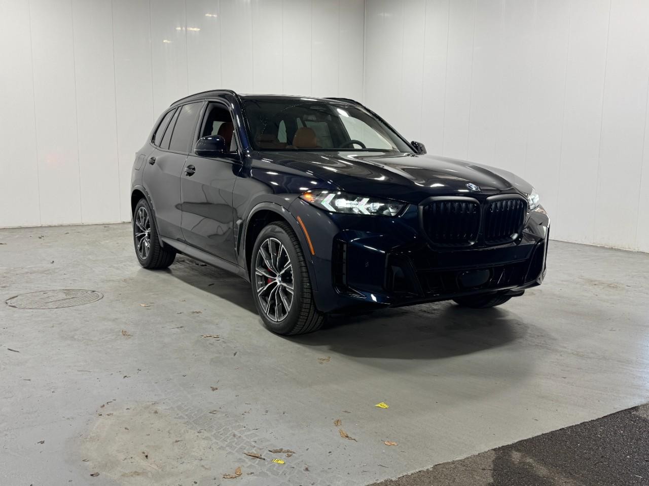 BMW X5 Vehicle Full-screen Gallery Image 6