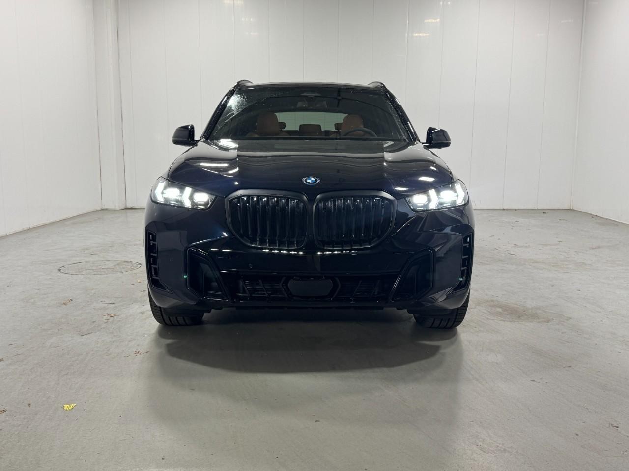 BMW X5 Vehicle Full-screen Gallery Image 7
