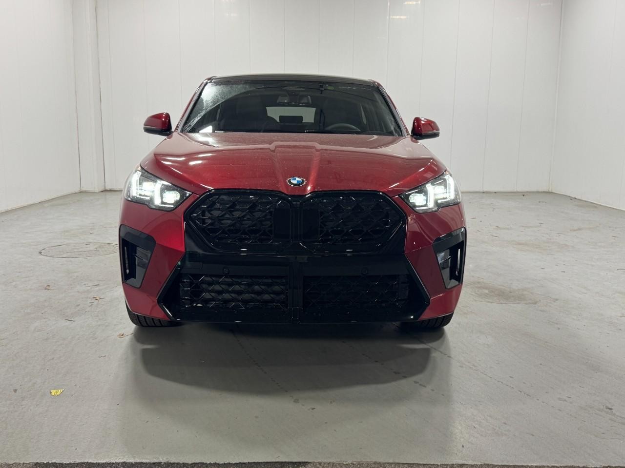 BMW X2 Vehicle Full-screen Gallery Image 7