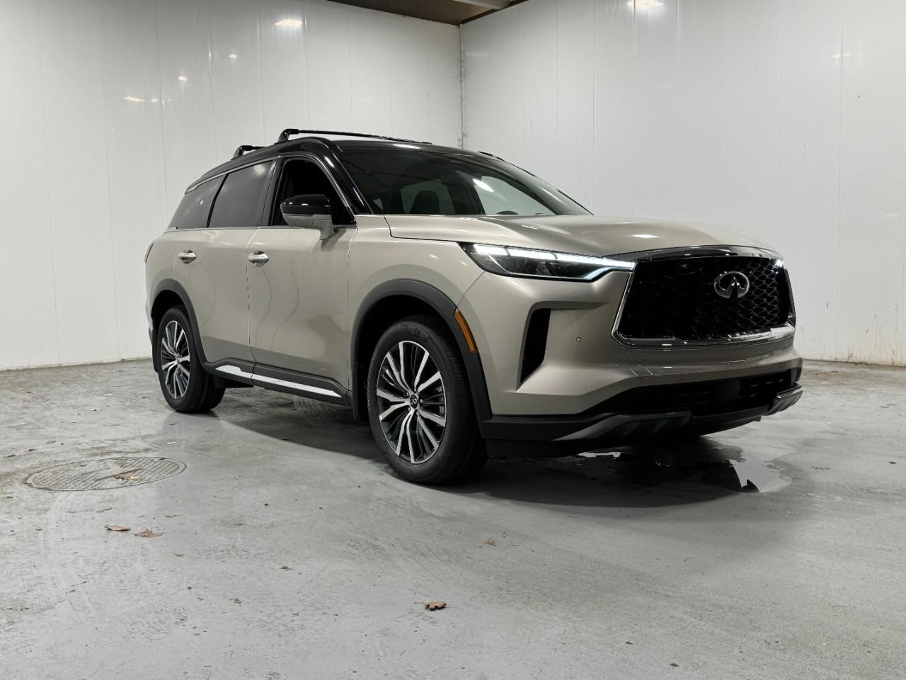 INFINITI QX60 Vehicle Full-screen Gallery Image 6