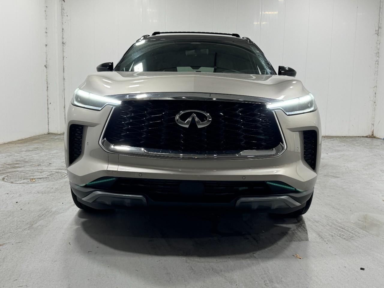 INFINITI QX60 Vehicle Full-screen Gallery Image 9