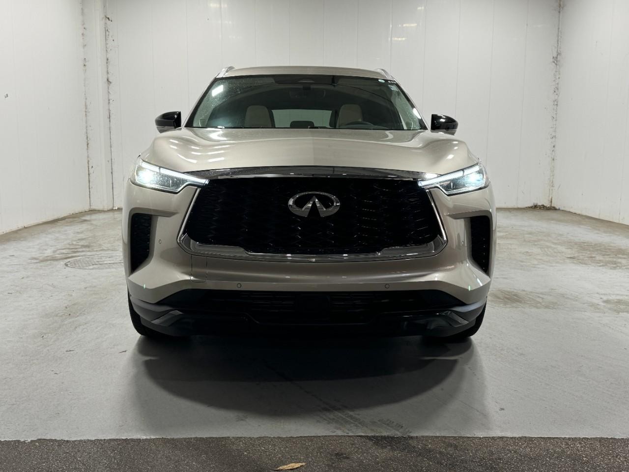 INFINITI QX60 Vehicle Full-screen Gallery Image 7