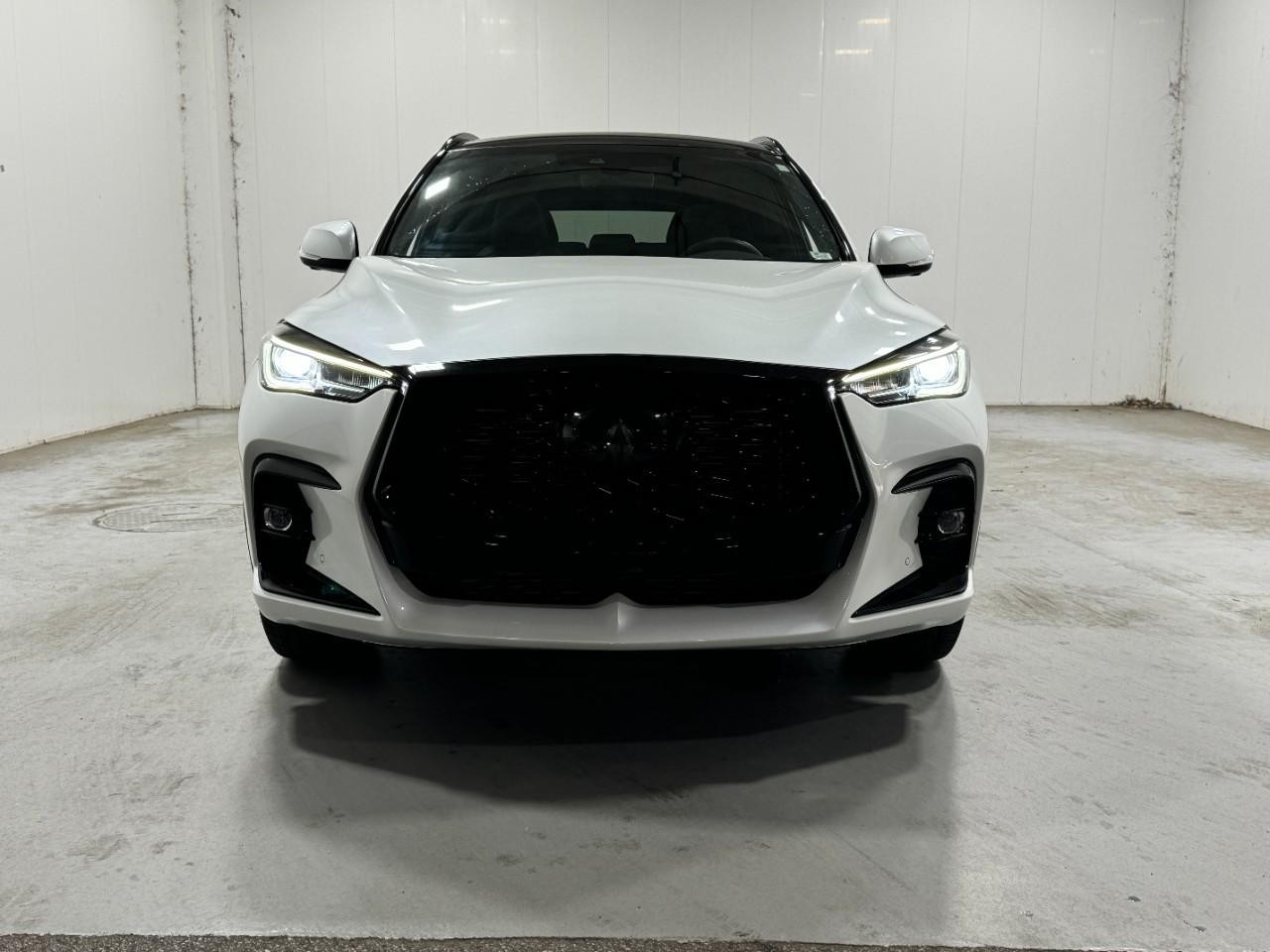 INFINITI QX50 Vehicle Full-screen Gallery Image 7