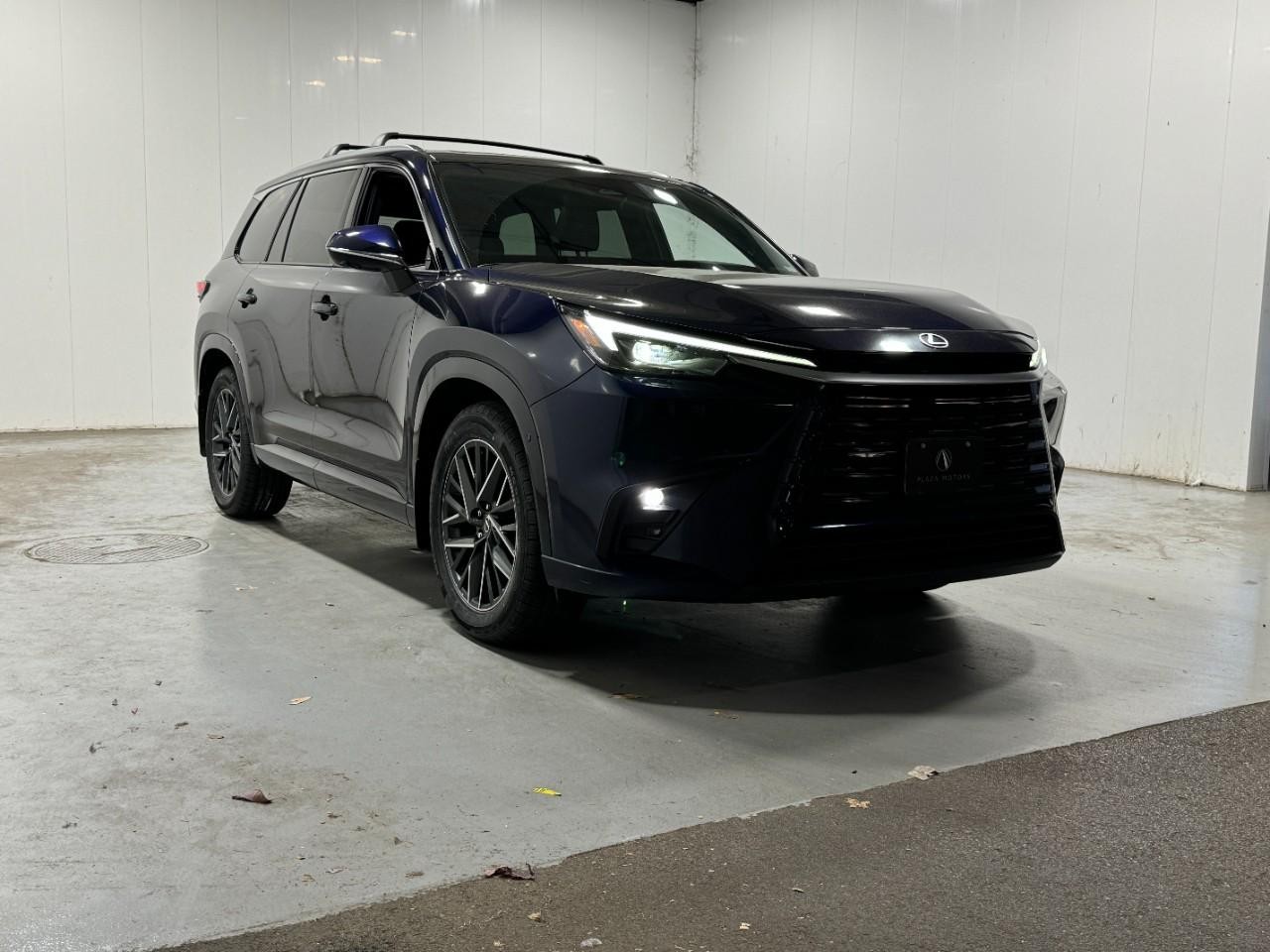 Lexus TX Vehicle Full-screen Gallery Image 6