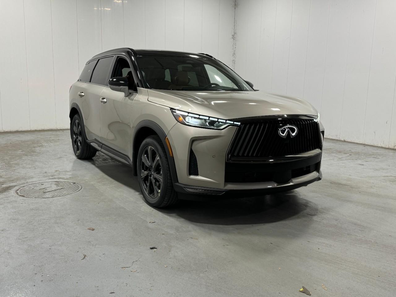 INFINITI QX60 Vehicle Full-screen Gallery Image 6