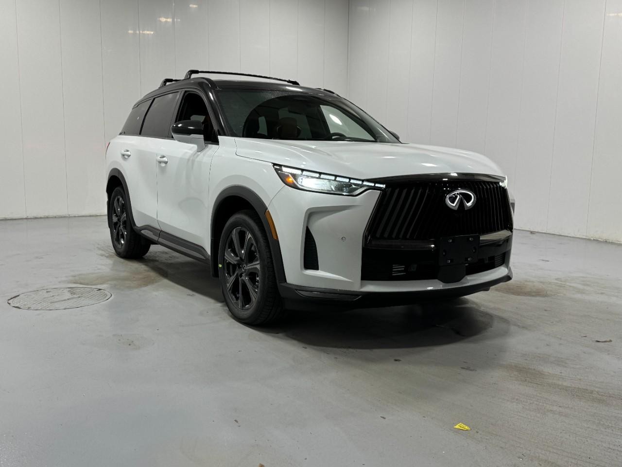 INFINITI QX60 Vehicle Full-screen Gallery Image 6