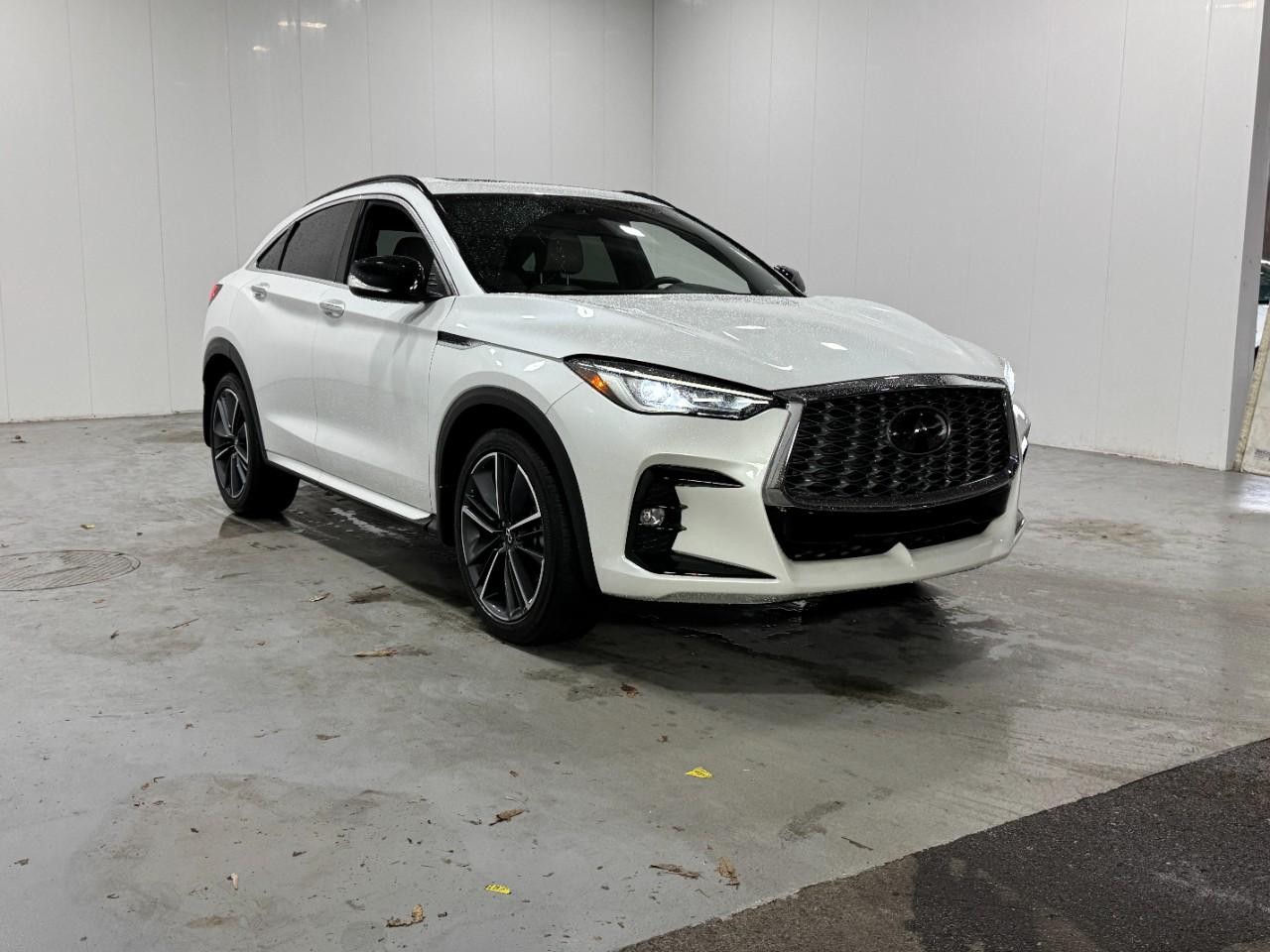 INFINITI QX55 Vehicle Full-screen Gallery Image 6