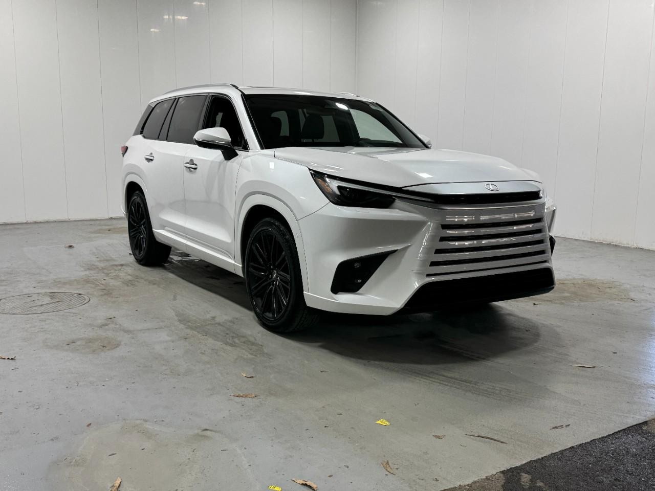 Lexus TX Vehicle Full-screen Gallery Image 6