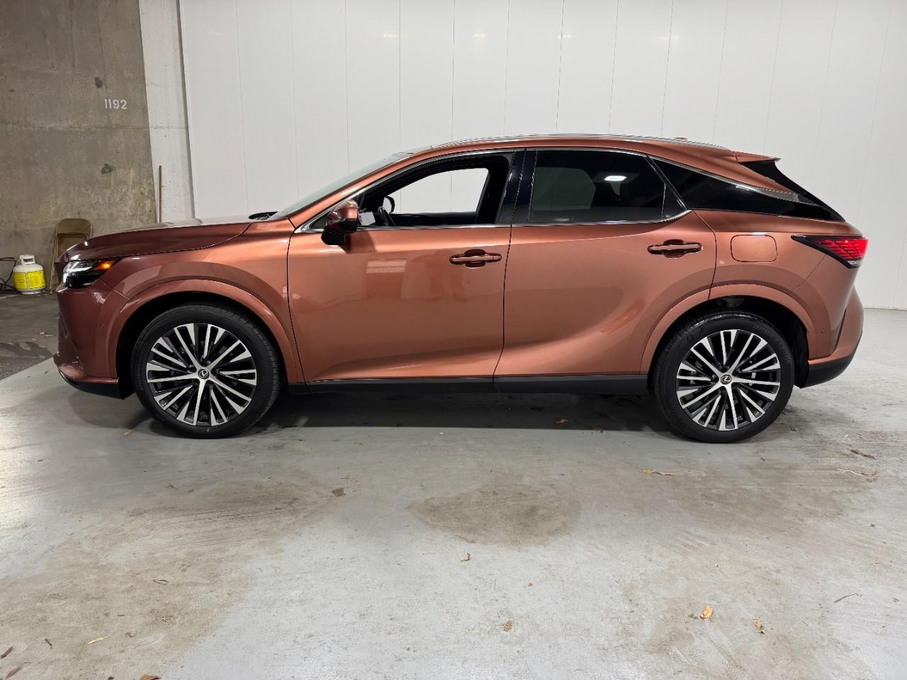 Lexus RX Vehicle Full-screen Gallery Image 2