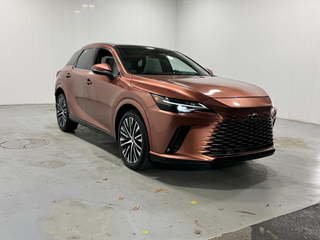 Lexus RX Vehicle Full-screen Gallery Image 6