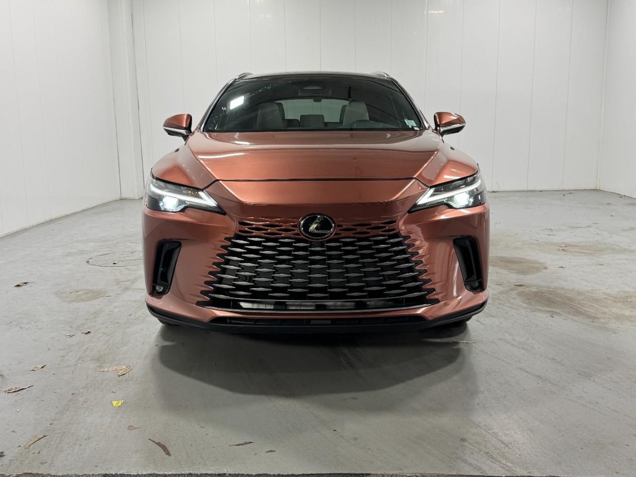 Lexus RX Vehicle Full-screen Gallery Image 7