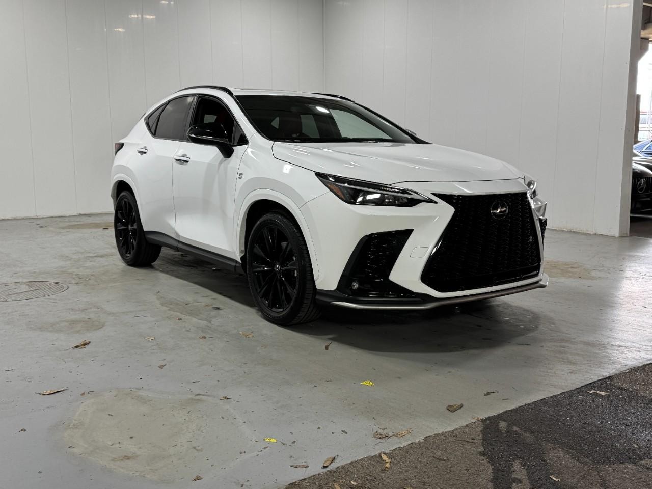 Lexus NX Vehicle Full-screen Gallery Image 6