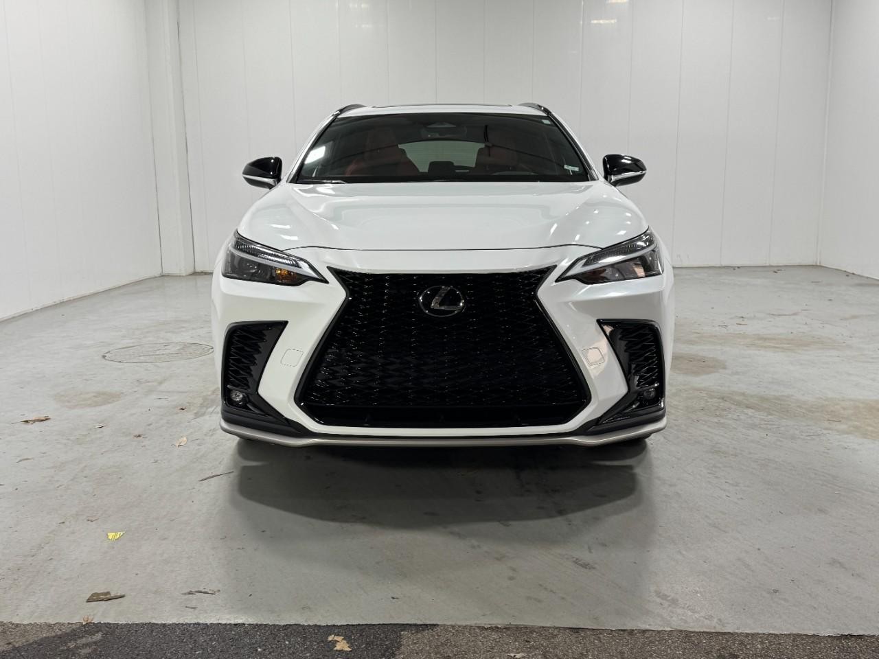 Lexus NX Vehicle Full-screen Gallery Image 7