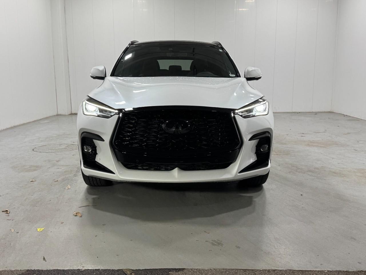 INFINITI QX50 Vehicle Full-screen Gallery Image 7