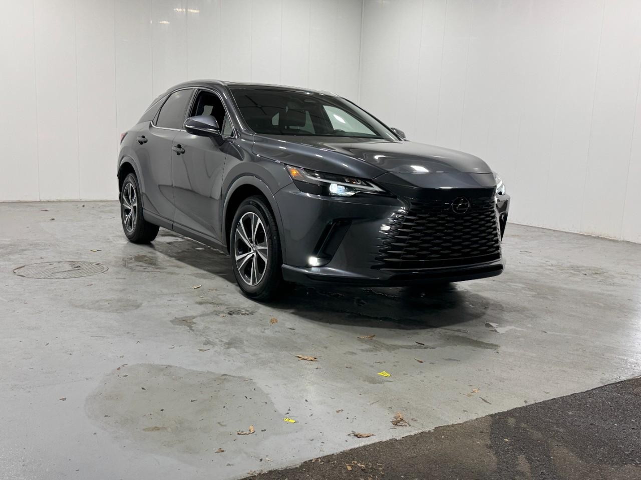 Lexus RX Vehicle Full-screen Gallery Image 6