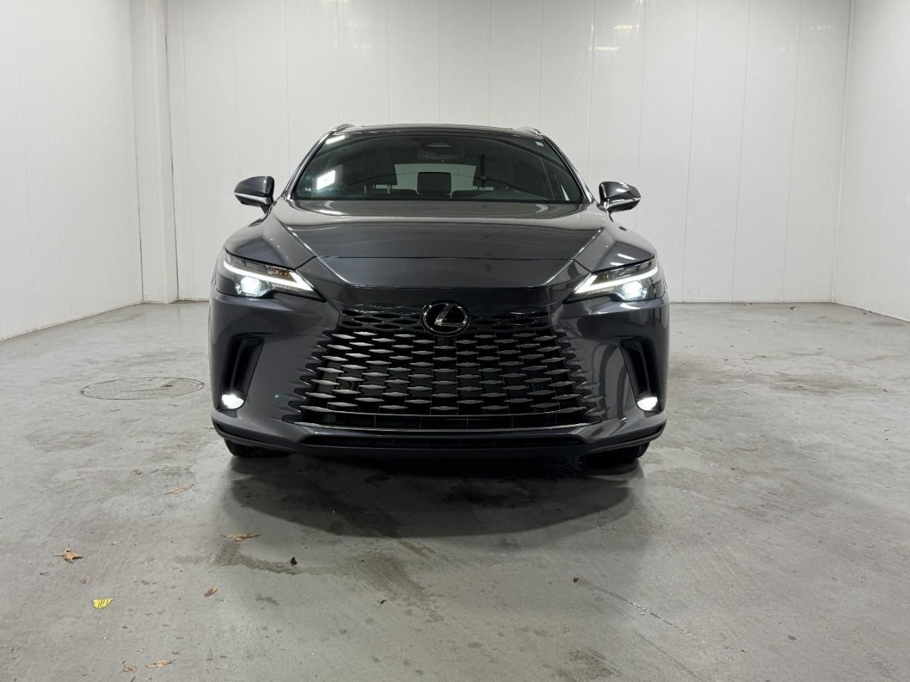 Lexus RX Vehicle Full-screen Gallery Image 7