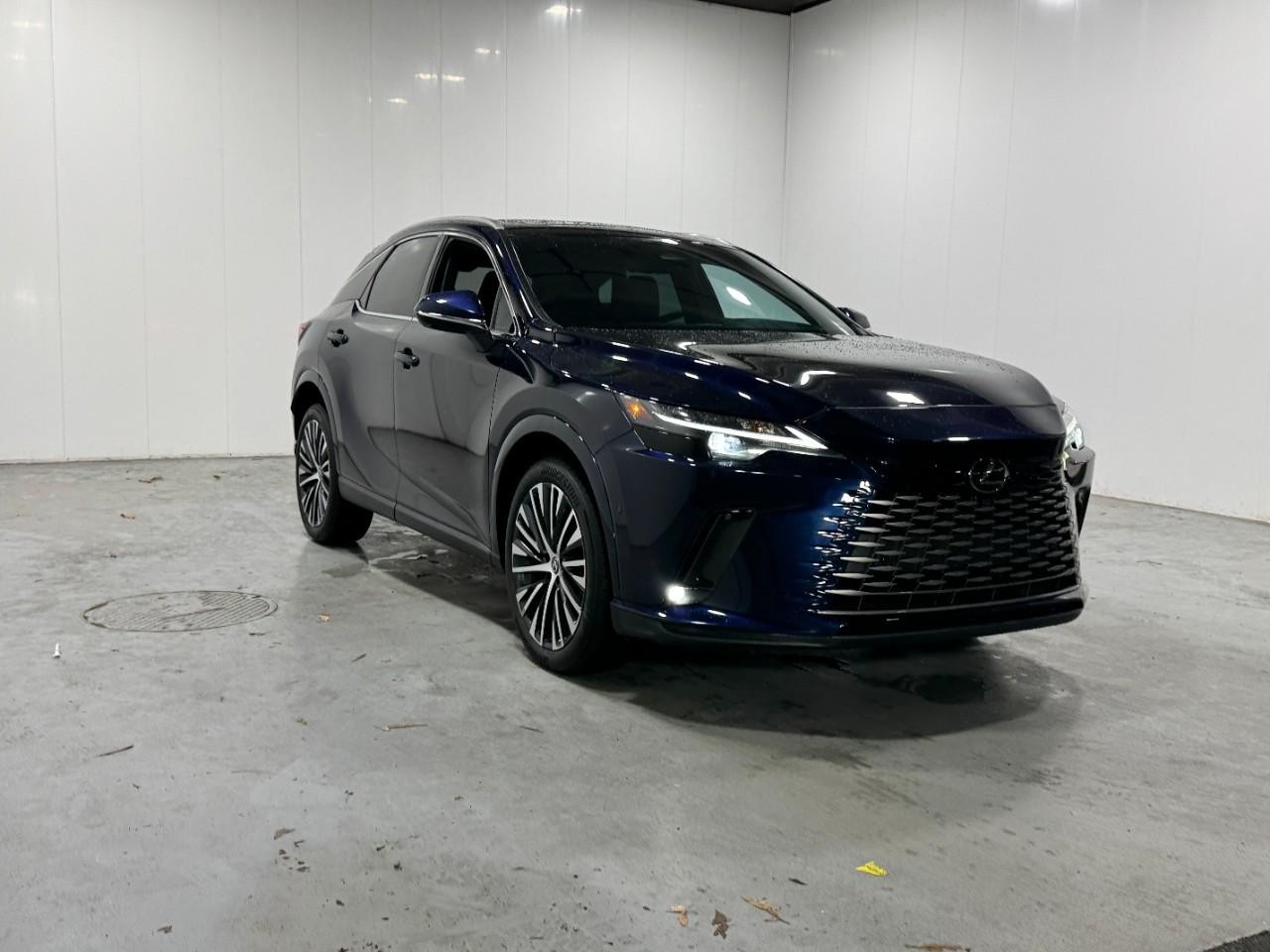 Lexus RX Vehicle Full-screen Gallery Image 6